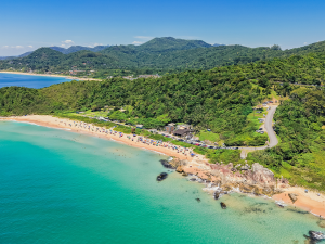 Praia do Pinho cercada pela Mata Atlântica